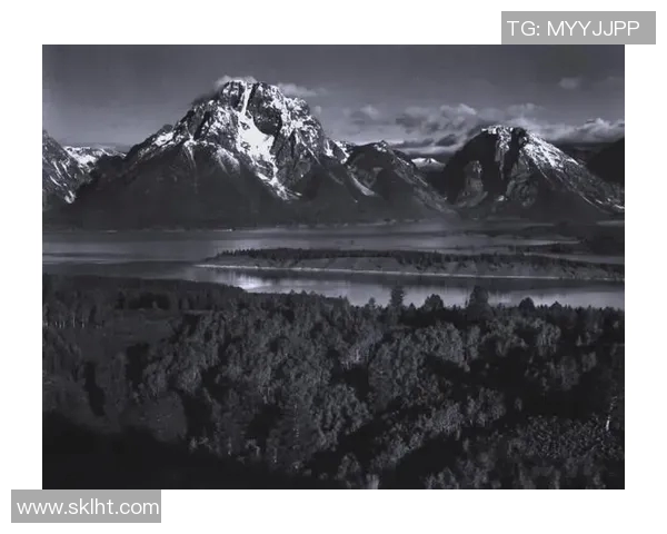 亚当斯的传奇人生与影响力探索：从个人成就到历史地位的全面分析