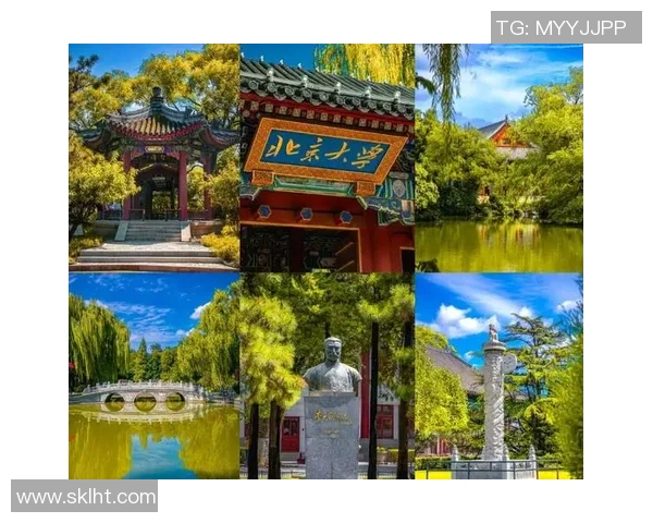 北大与清华精彩对决视频下载全攻略，尽享学术盛宴与校园文化魅力